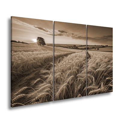 Leinwandbild Goldenes Weizenmeer im Abendlicht XXL – Landschaft Wandbild Natur - deyoli