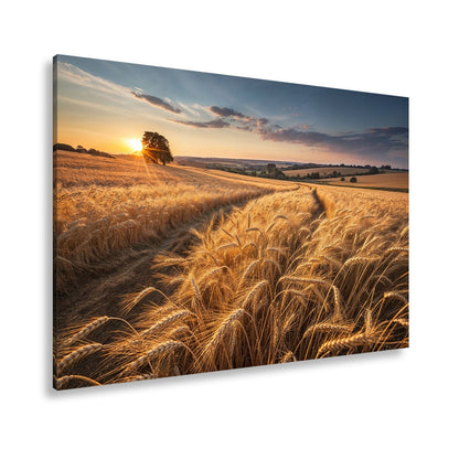 Leinwandbild Goldenes Weizenmeer im Abendlicht XXL – Landschaft Wandbild Natur - deyoli