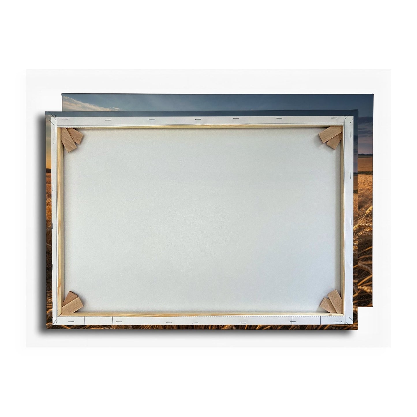 Leinwandbild Goldenes Weizenmeer im Abendlicht XXL – Landschaft Wandbild Natur - deyoli