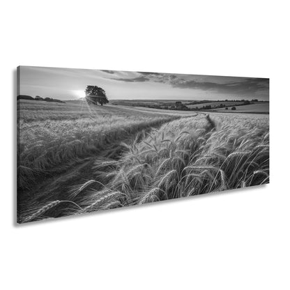 Leinwandbild Goldenes Weizenmeer im Abendlicht XXL – Landschaft Wandbild Natur - deyoli