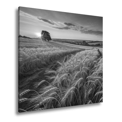 Leinwandbild Goldenes Weizenmeer im Abendlicht XXL – Landschaft Wandbild Natur - deyoli