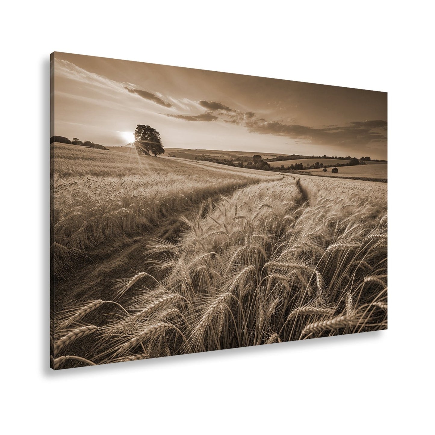Leinwandbild Goldenes Weizenmeer im Abendlicht XXL – Landschaft Wandbild Natur - deyoli