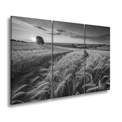 Leinwandbild Goldenes Weizenmeer im Abendlicht XXL – Landschaft Wandbild Natur - deyoli