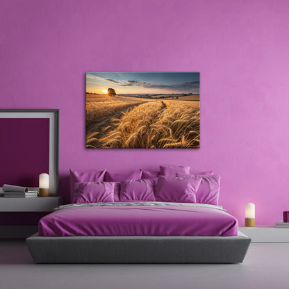Leinwandbild Goldenes Weizenmeer im Abendlicht XXL – Landschaft Wandbild Natur - deyoli