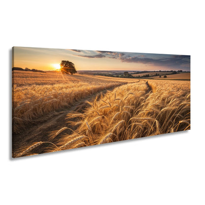 Leinwandbild Goldenes Weizenmeer im Abendlicht XXL – Landschaft Wandbild Natur - deyoli
