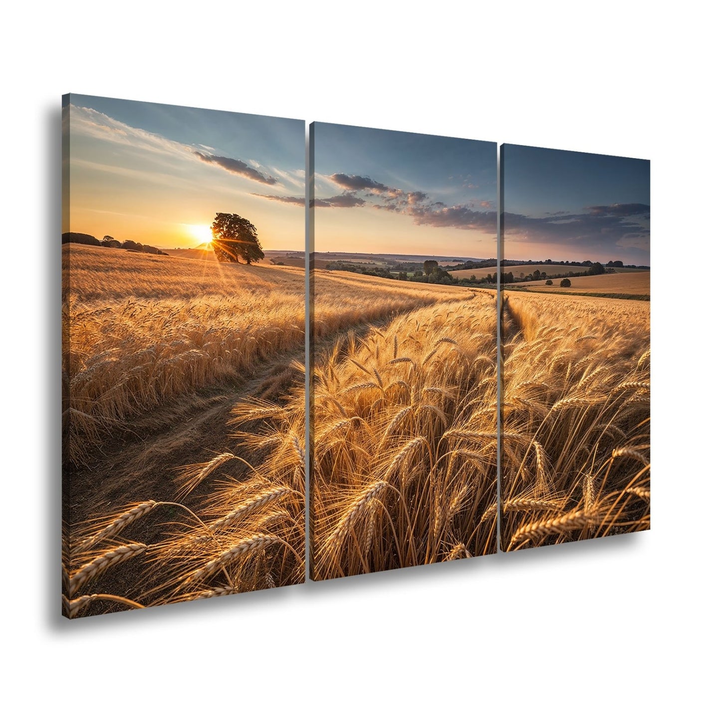 Leinwandbild Goldenes Weizenmeer im Abendlicht XXL – Landschaft Wandbild Natur - deyoli