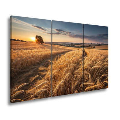 Leinwandbild Goldenes Weizenmeer im Abendlicht XXL – Landschaft Wandbild Natur - deyoli