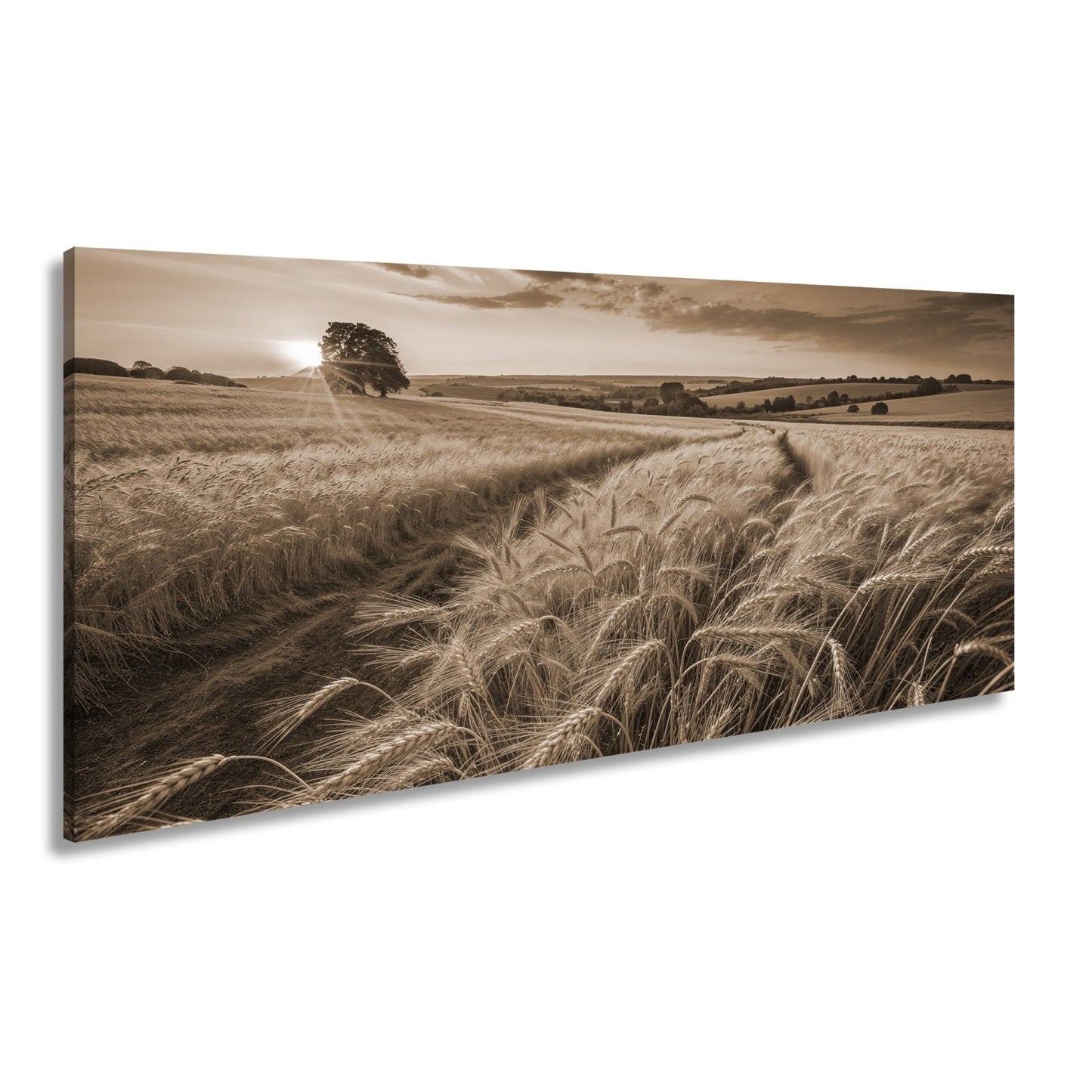 Leinwandbild Goldenes Weizenmeer im Abendlicht XXL – Landschaft Wandbild Natur - deyoli