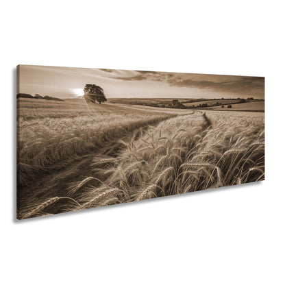 Leinwandbild Goldenes Weizenmeer im Abendlicht XXL – Landschaft Wandbild Natur - deyoli