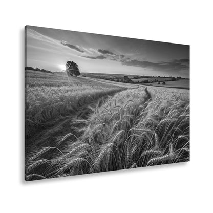 Leinwandbild Goldenes Weizenmeer im Abendlicht XXL – Landschaft Wandbild Natur - deyoli