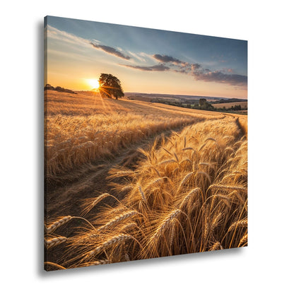 Leinwandbild Goldenes Weizenmeer im Abendlicht XXL – Landschaft Wandbild Natur - deyoli