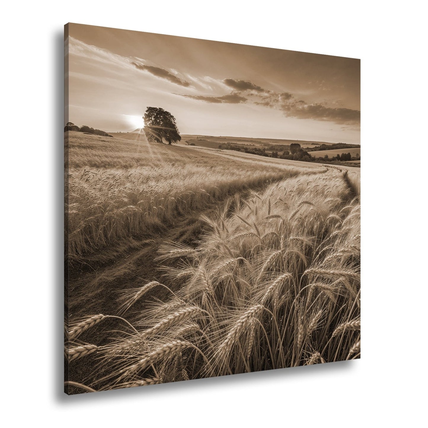 Leinwandbild Goldenes Weizenmeer im Abendlicht XXL – Landschaft Wandbild Natur - deyoli