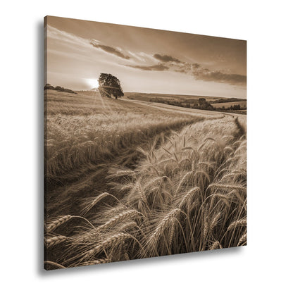 Leinwandbild Goldenes Weizenmeer im Abendlicht XXL – Landschaft Wandbild Natur - deyoli