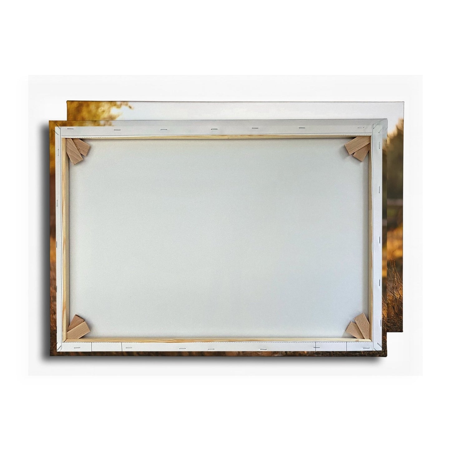 Leinwandbild Graues Pferd in goldener Abendruhe vor der Scheune. - deyoli