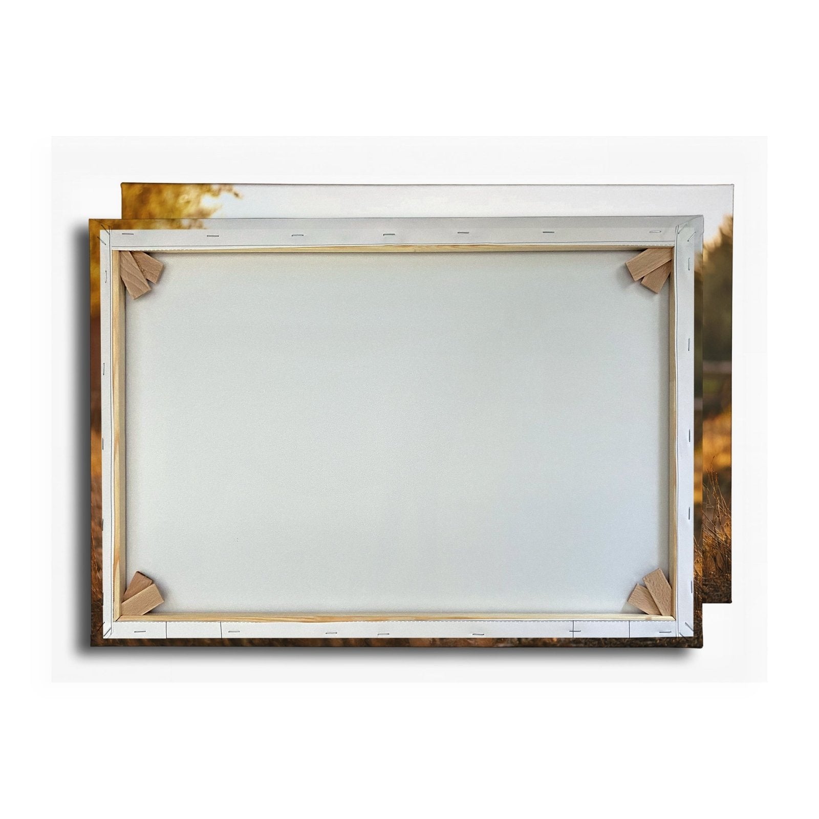 Leinwandbild Graues Pferd in goldener Abendruhe vor der Scheune. - deyoli