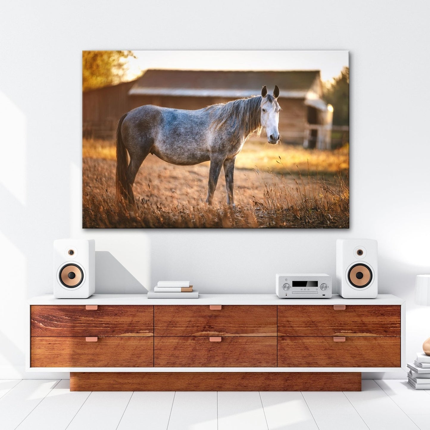 Leinwandbild Graues Pferd in goldener Abendruhe vor der Scheune. - deyoli