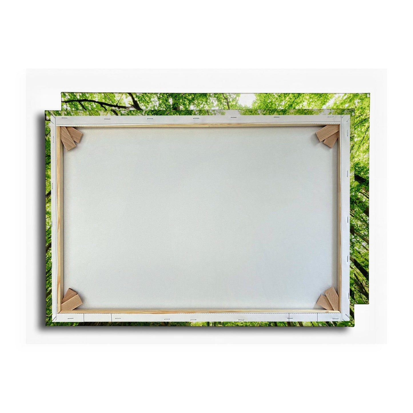 Leinwandbild Grünes Blätterdach im Sonnenlicht – Wald Natur XXL Canvas - deyoli