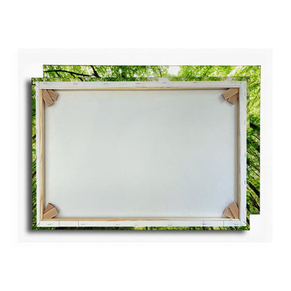 Leinwandbild Grünes Blätterdach im Sonnenlicht – Wald Natur XXL Canvas - deyoli