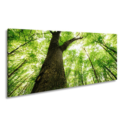 Leinwandbild Grünes Blätterdach im Sonnenlicht – Wald Natur XXL Canvas - deyoli