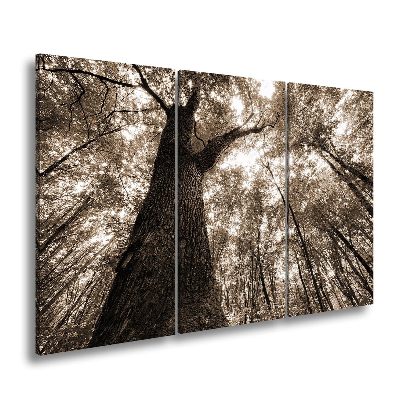 Leinwandbild Grünes Blätterdach im Sonnenlicht – Wald Natur XXL Canvas - deyoli