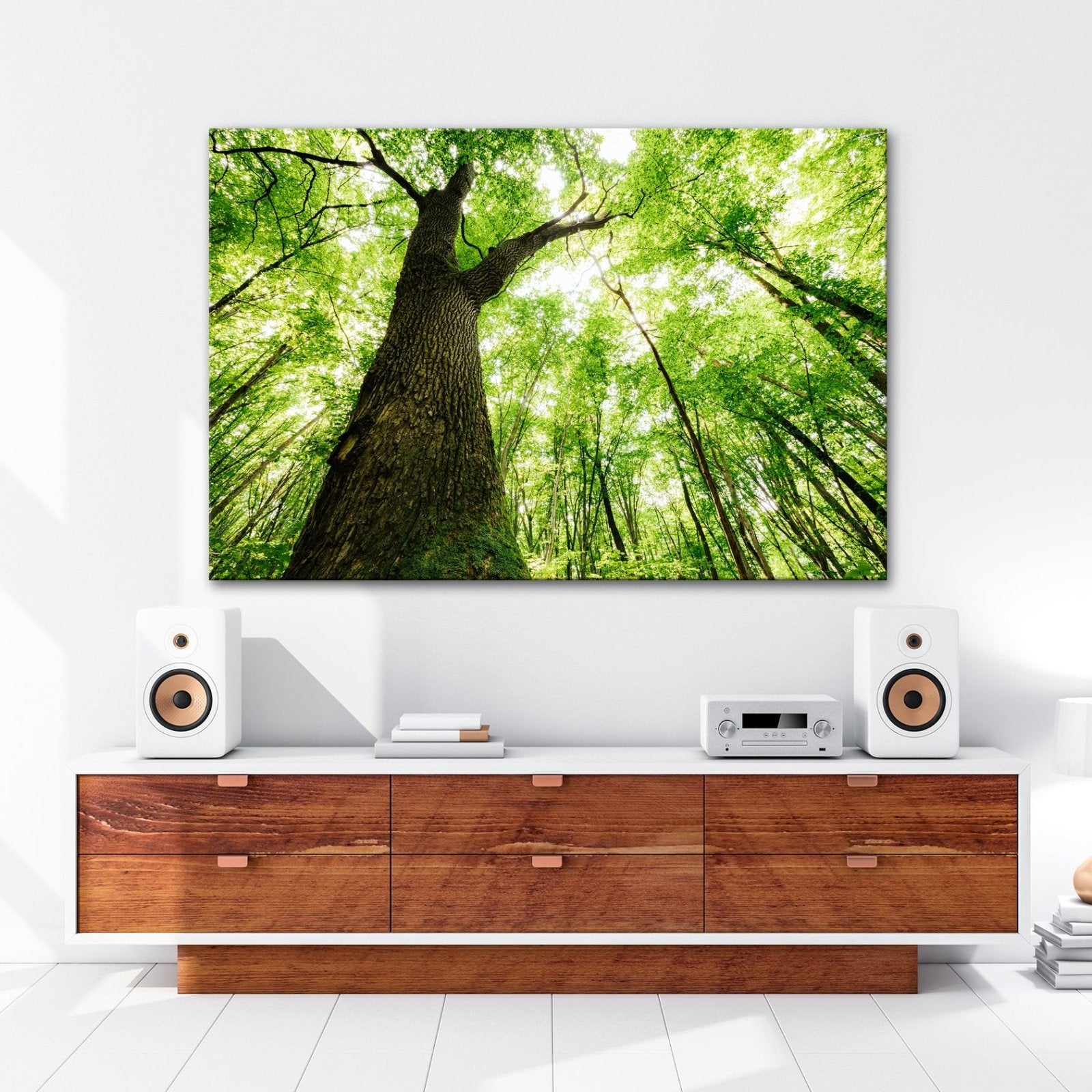 Leinwandbild Grünes Blätterdach im Sonnenlicht – Wald Natur XXL Canvas - deyoli