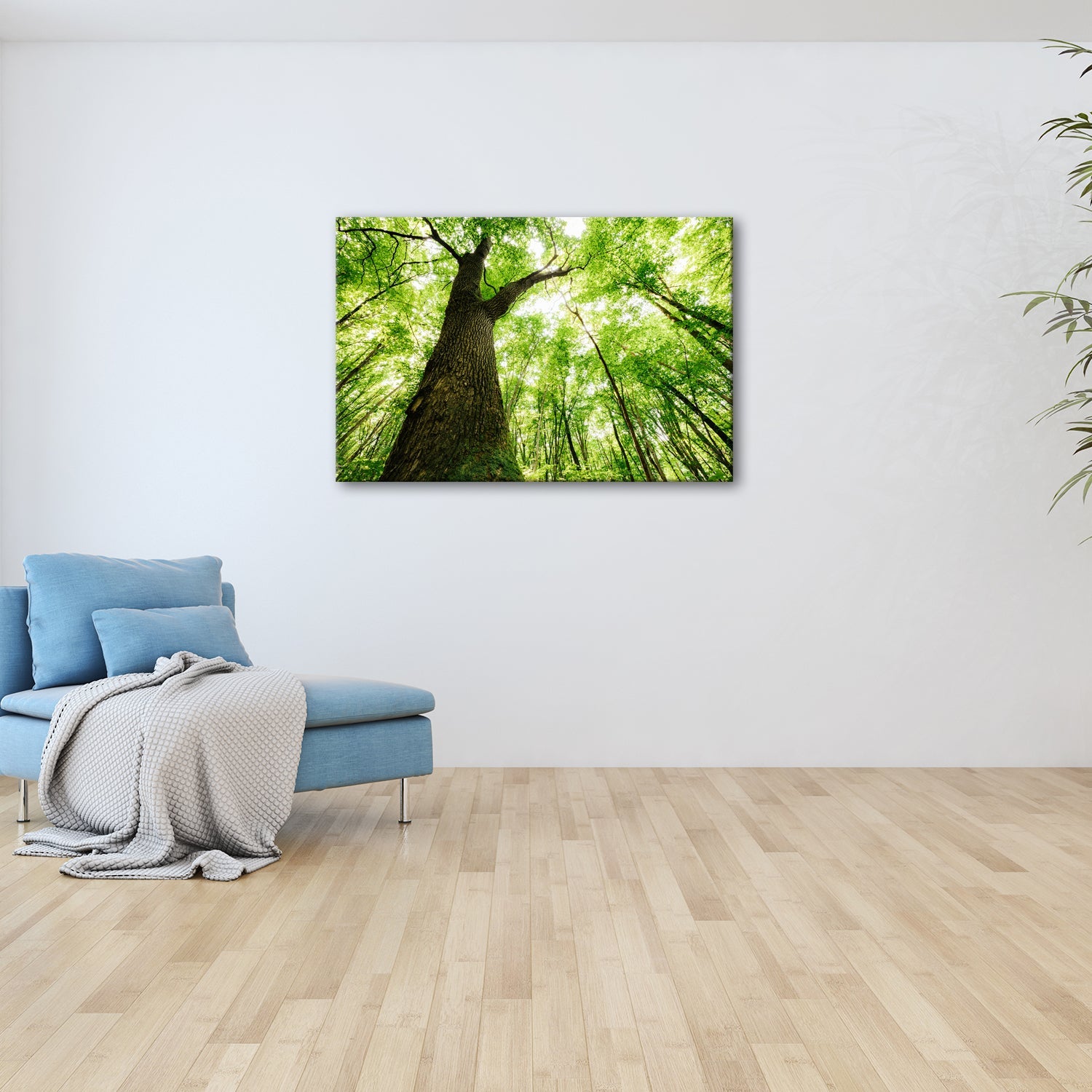 Leinwandbild Grünes Blätterdach im Sonnenlicht – Wald Natur XXL Canvas - deyoli