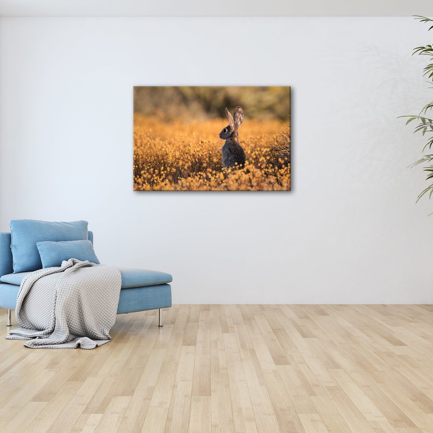 Leinwandbild Hase im goldenen Blütenmeer – Wachsam & still XXL - deyoli
