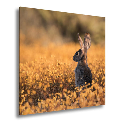 Leinwandbild Hase im goldenen Blütenmeer – Wachsam & still XXL - deyoli