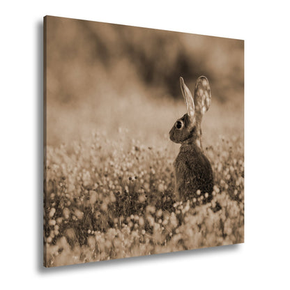 Leinwandbild Hase im goldenen Blütenmeer – Wachsam & still XXL - deyoli