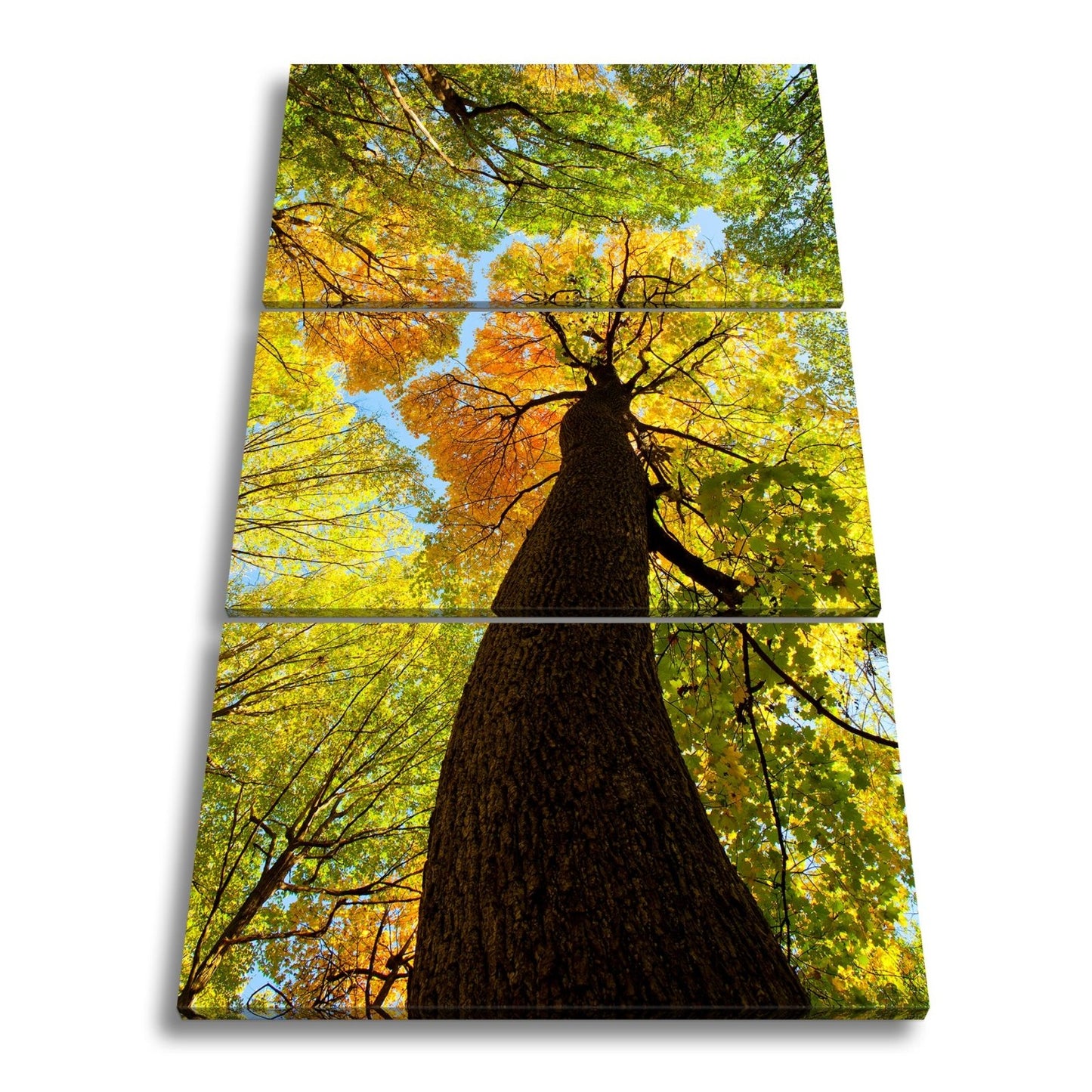 Leinwandbild Herbstfarben tanzen im Kronendach – goldene Ruhe im Wind. - deyoli