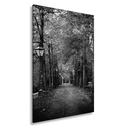 Leinwandbild Herbstfarben tanzen über einen romantischen Laubweg. - deyoli