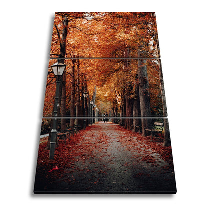 Leinwandbild Herbstfarben tanzen über einen romantischen Laubweg. - deyoli