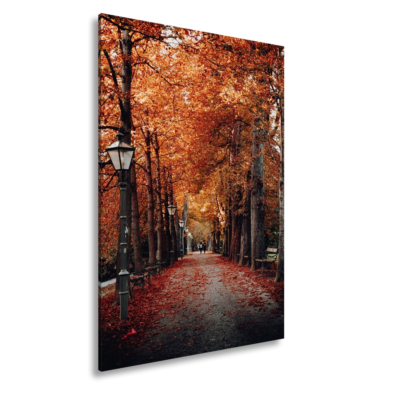 Leinwandbild Herbstfarben tanzen über einen romantischen Laubweg. - deyoli