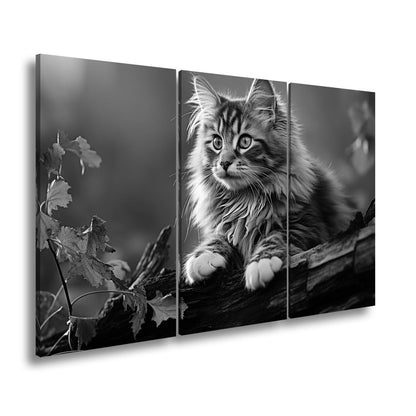 Leinwandbild Herbstlaub tanzt – und eine Katze wacht über den Wald - deyoli