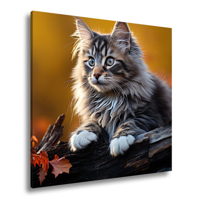 Leinwandbild Herbstlaub tanzt – und eine Katze wacht über den Wald - deyoli