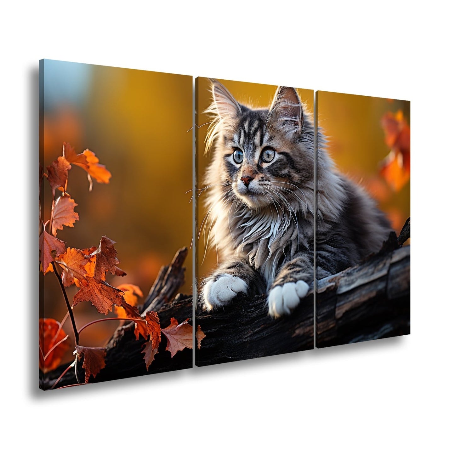Leinwandbild Herbstlaub tanzt – und eine Katze wacht über den Wald - deyoli