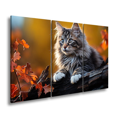 Leinwandbild Herbstlaub tanzt – und eine Katze wacht über den Wald - deyoli