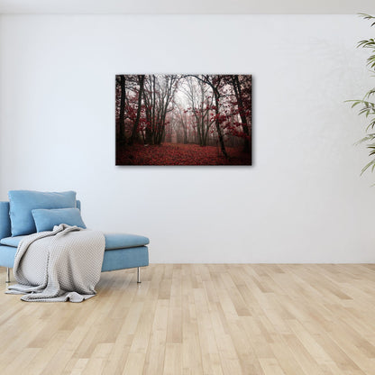 Leinwandbild Herbstwald XXL – Mystisch im roten Nebelschleier gehüllt - deyoli