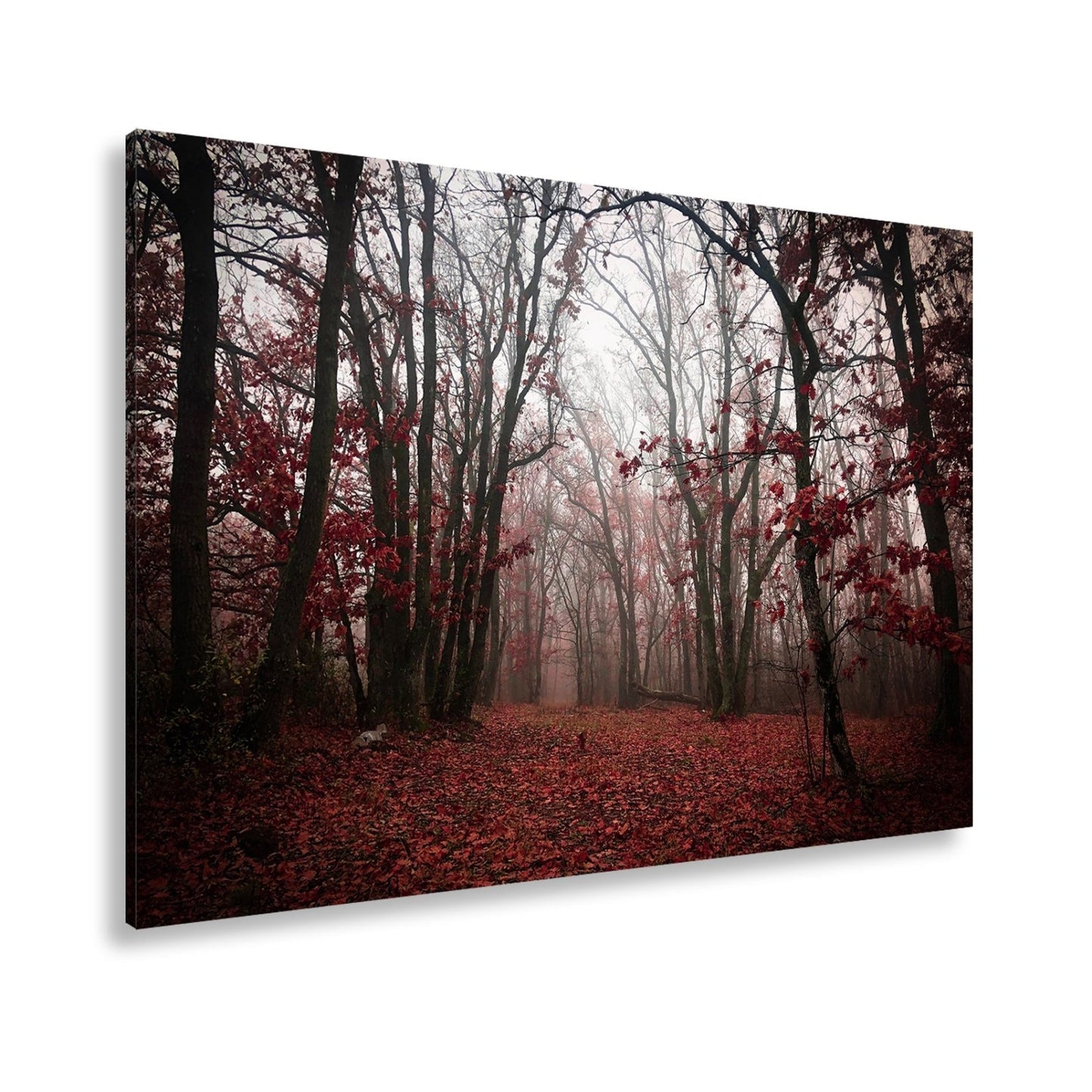Leinwandbild Herbstwald XXL – Mystisch im roten Nebelschleier gehüllt - deyoli