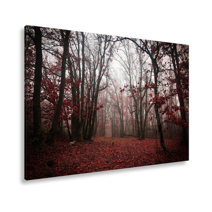 Leinwandbild Herbstwald XXL – Mystisch im roten Nebelschleier gehüllt - deyoli
