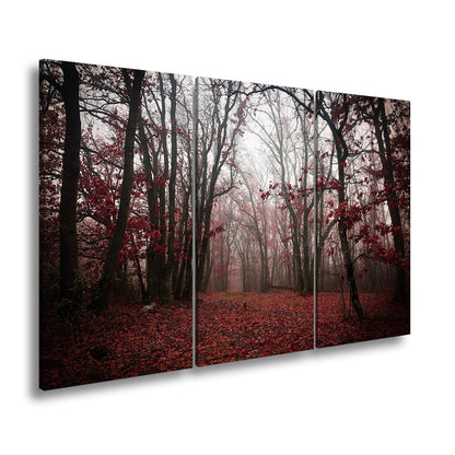 Leinwandbild Herbstwald XXL – Mystisch im roten Nebelschleier gehüllt - deyoli