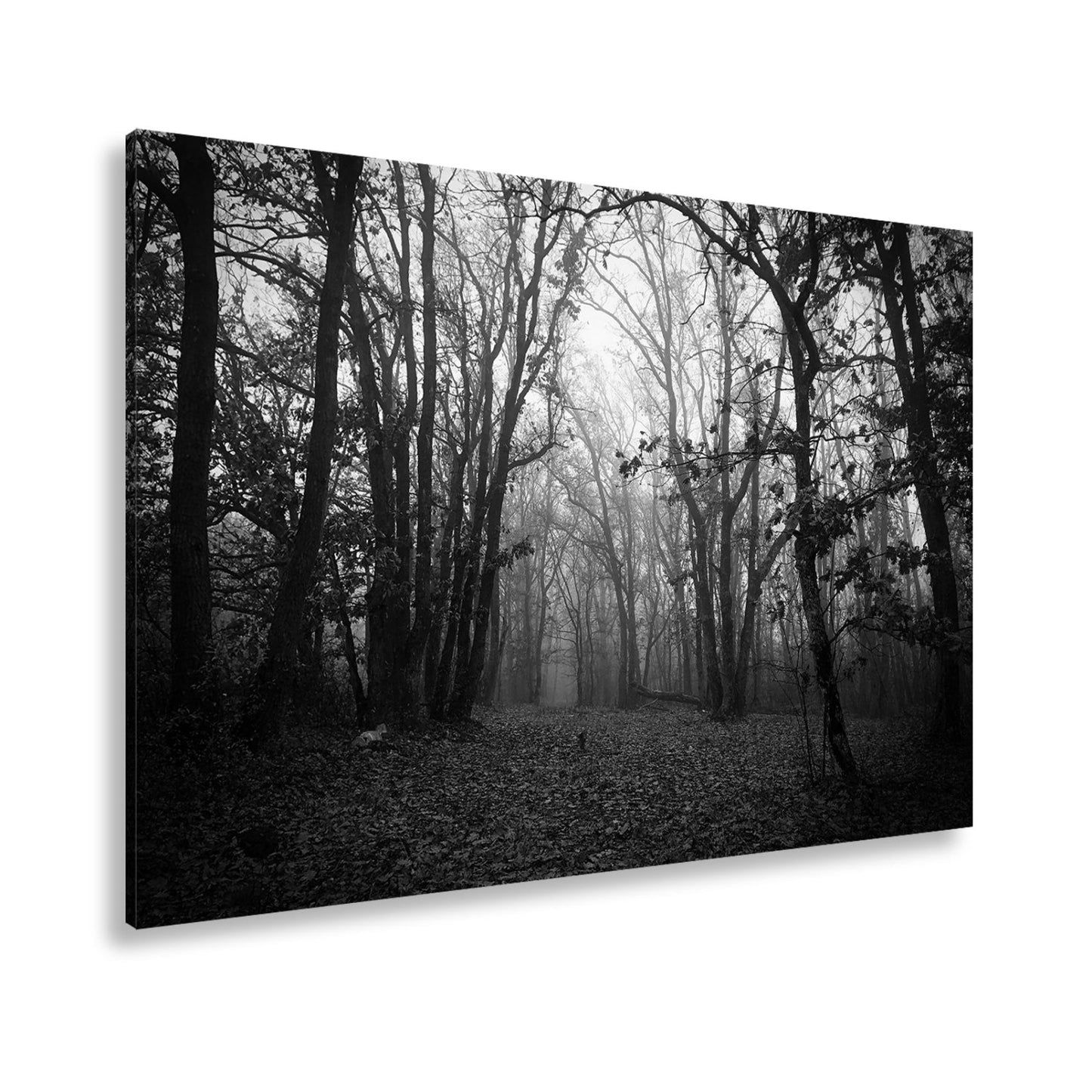 Leinwandbild Herbstwald XXL – Mystisch im roten Nebelschleier gehüllt - deyoli