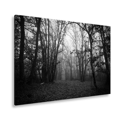 Leinwandbild Herbstwald XXL – Mystisch im roten Nebelschleier gehüllt - deyoli