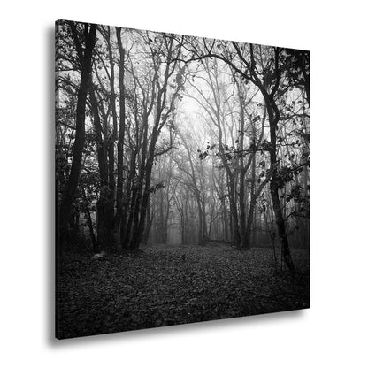Leinwandbild Herbstwald XXL – Mystisch im roten Nebelschleier gehüllt - deyoli