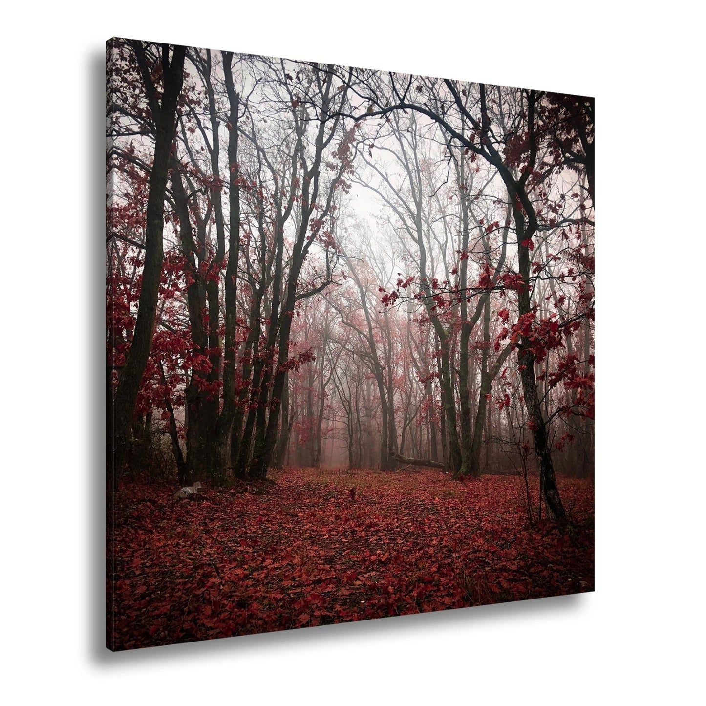 Leinwandbild Herbstwald XXL – Mystisch im roten Nebelschleier gehüllt - deyoli
