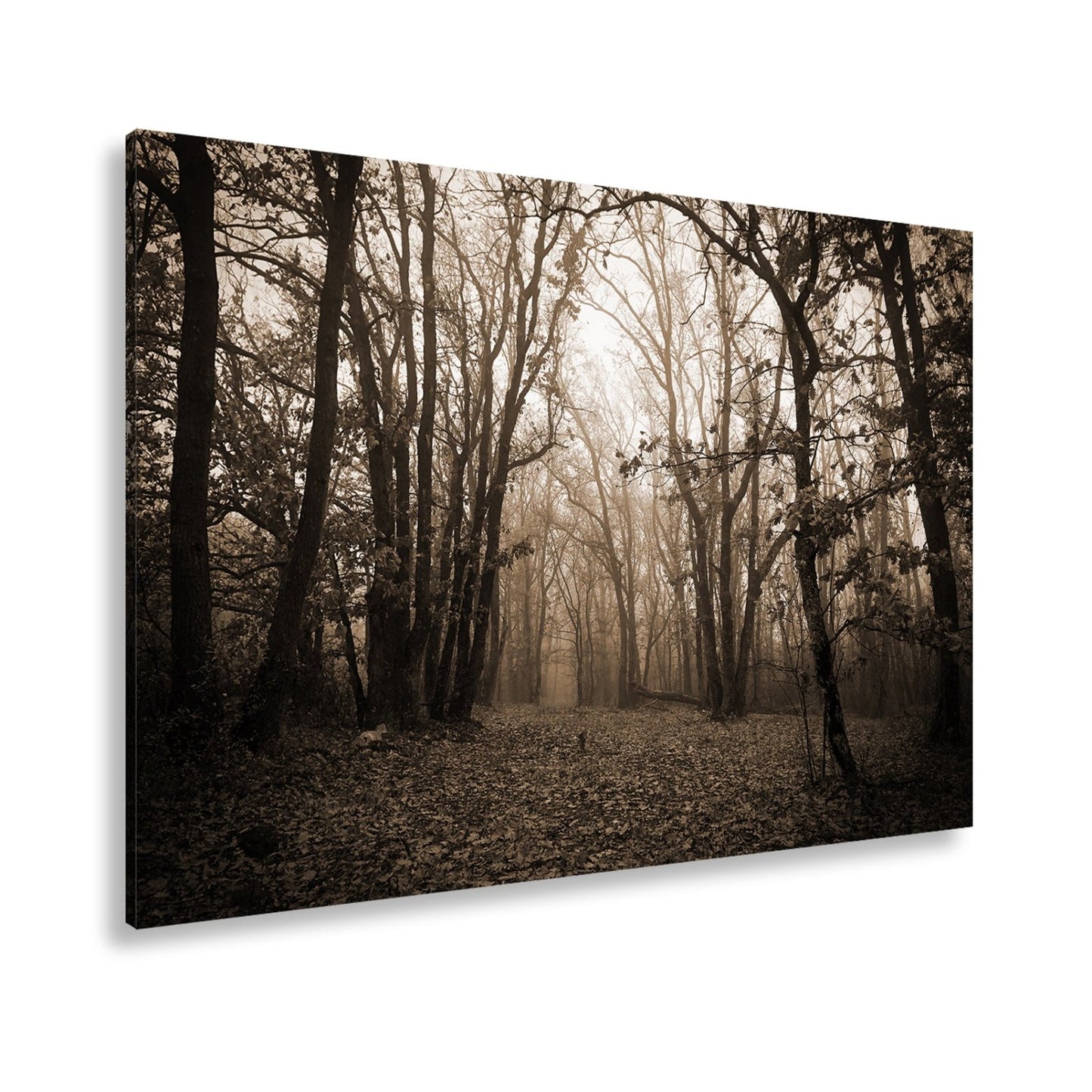 Leinwandbild Herbstwald XXL – Mystisch im roten Nebelschleier gehüllt - deyoli