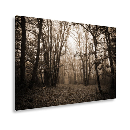 Leinwandbild Herbstwald XXL – Mystisch im roten Nebelschleier gehüllt - deyoli
