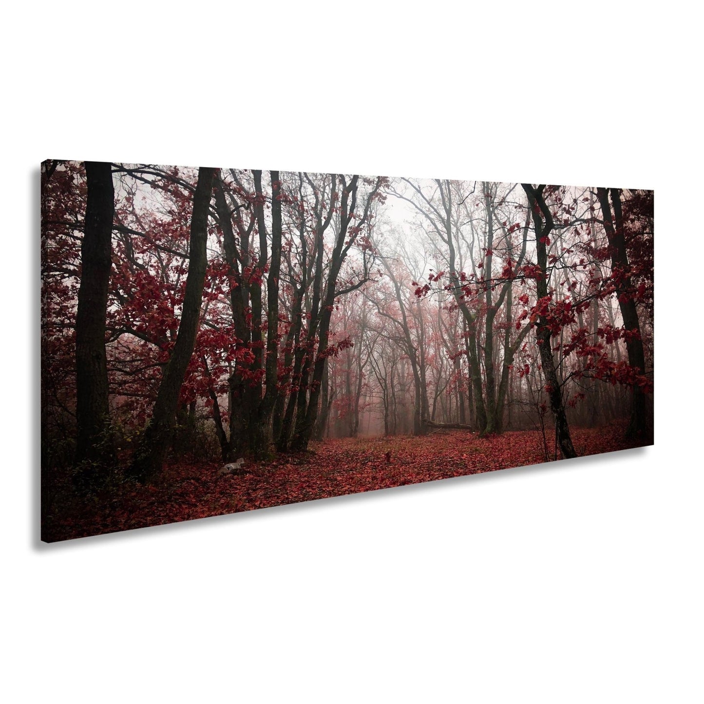 Leinwandbild Herbstwald XXL – Mystisch im roten Nebelschleier gehüllt - deyoli
