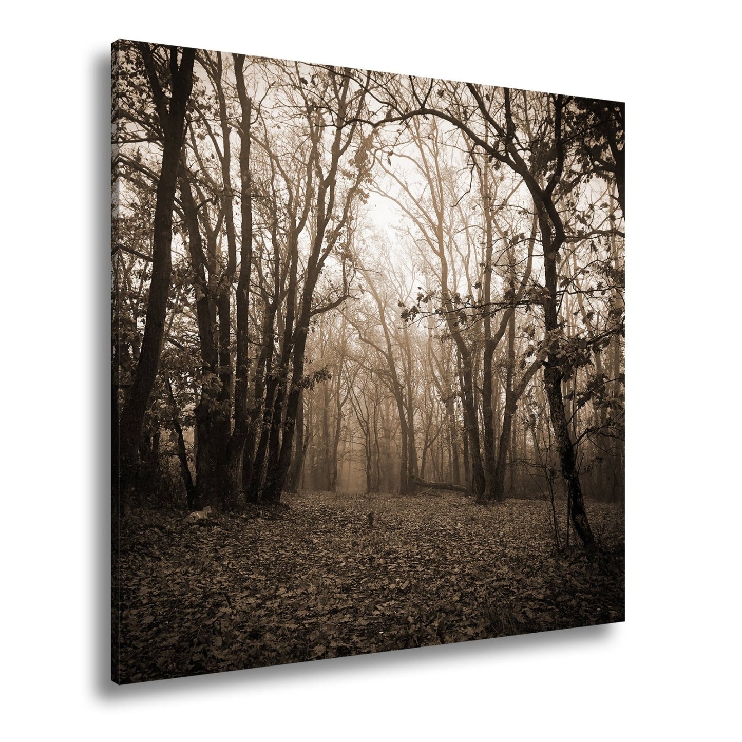 Leinwandbild Herbstwald XXL – Mystisch im roten Nebelschleier gehüllt - deyoli