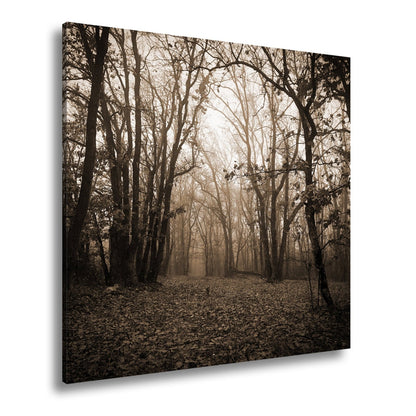 Leinwandbild Herbstwald XXL – Mystisch im roten Nebelschleier gehüllt - deyoli